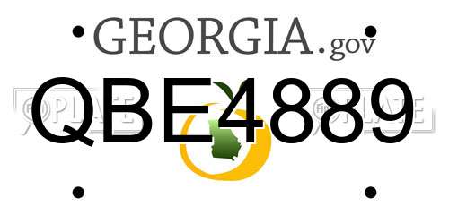 QBE4889 Georgia License Plate