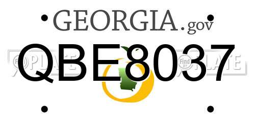 QBE8037 Georgia License Plate