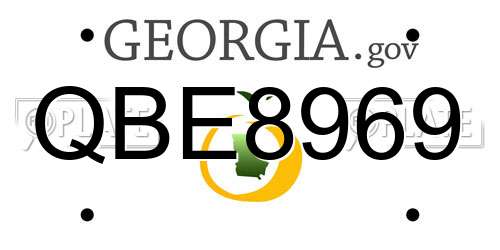 QBE8969 Georgia License Plate