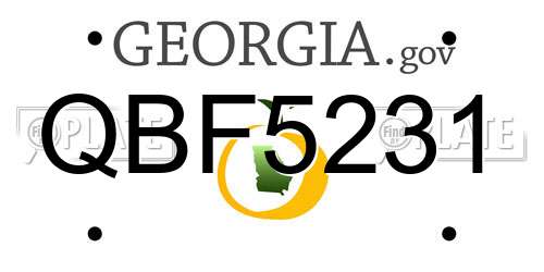 QBF5231 Georgia License Plate
