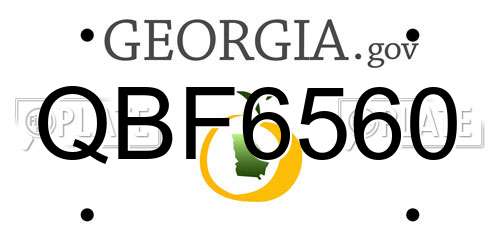 QBF6560 Georgia License Plate
