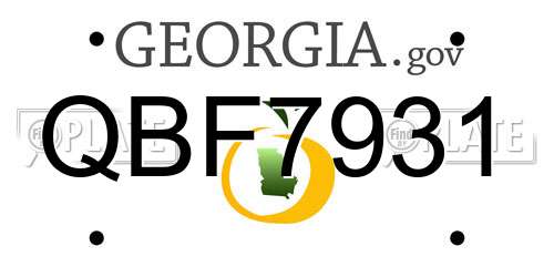 QBF7931 Georgia License Plate