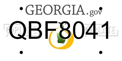 QBF8041 Georgia License Plate