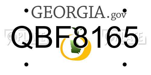 QBF8165 Georgia License Plate