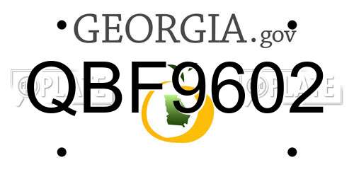 QBF9602 Georgia License Plate