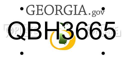 QBH3665 Georgia License Plate
