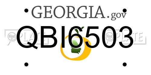 QBI6503 Georgia License Plate