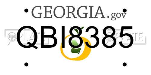 QBI8385 Georgia License Plate