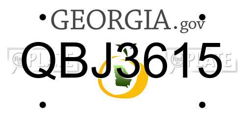 QBJ3615 Georgia License Plate