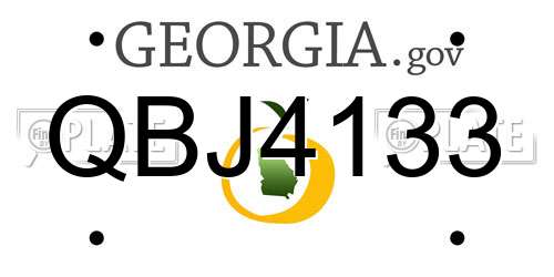 QBJ4133 Georgia License Plate