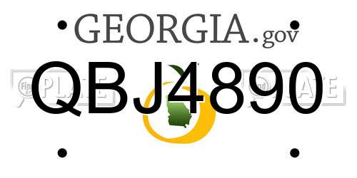 QBJ4890 Georgia License Plate