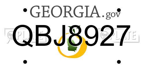QBJ8927 Georgia License Plate