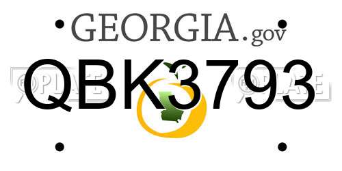 QBK3793 Georgia License Plate