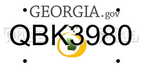 QBK3980 Georgia License Plate