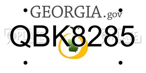QBK8285 Georgia License Plate