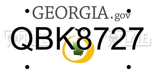QBK8727 Georgia License Plate