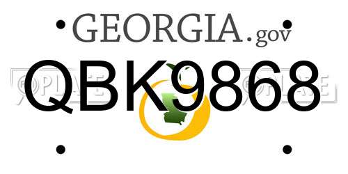 QBK9868 Georgia License Plate