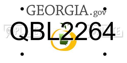 QBL2264 Georgia License Plate