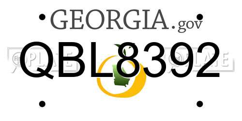 QBL8392 Georgia License Plate