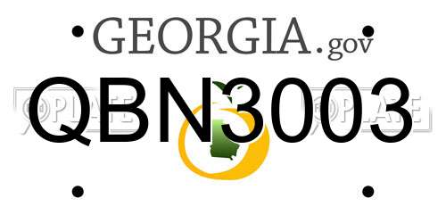 QBN3003 Georgia License Plate