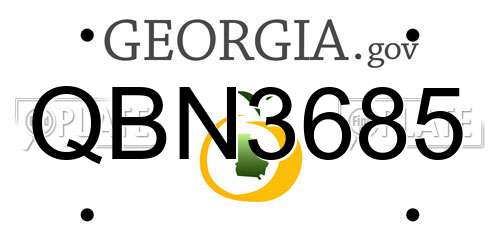QBN3685 Georgia License Plate