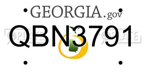 QBN3791 Georgia License Plate