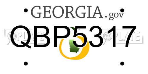 QBP5317 Georgia License Plate