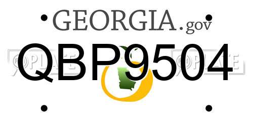 QBP9504 Georgia License Plate