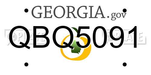 QBQ5091 Georgia License Plate