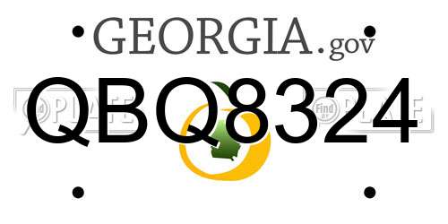QBQ8324 Georgia License Plate