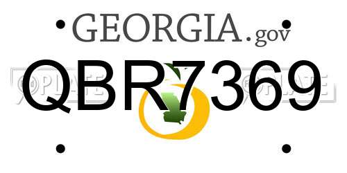 QBR7369 Georgia License Plate