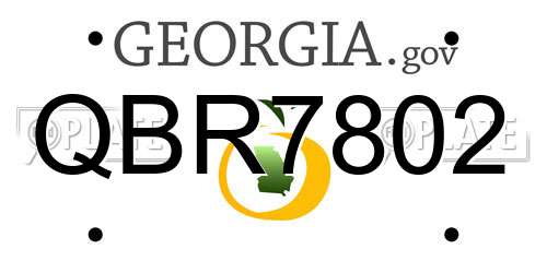 QBR7802 Georgia License Plate