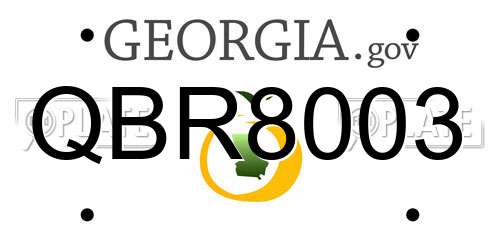 QBR8003 Georgia License Plate