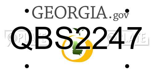 QBS2247 Georgia License Plate