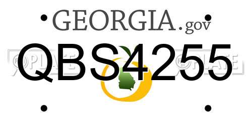 QBS4255 Georgia License Plate