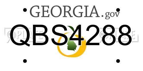 QBS4288 Georgia License Plate