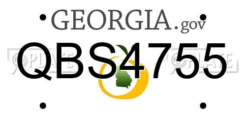 QBS4755 Georgia License Plate