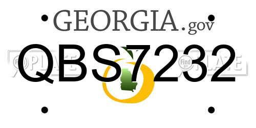 QBS7232 Georgia License Plate
