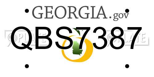 QBS7387 Georgia License Plate