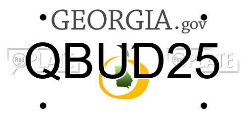 QBUD25 Georgia License Plate