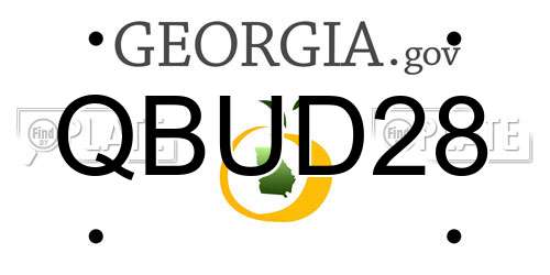 QBUD28 Georgia License Plate