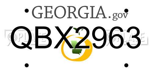 QBX2963 Georgia License Plate