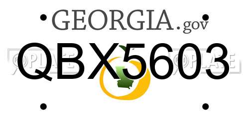 QBX5603 Georgia License Plate