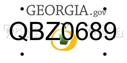 QBZ0689 Georgia License Plate