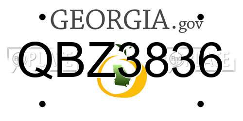 QBZ3836 Georgia License Plate