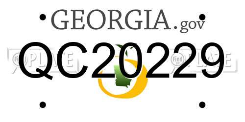 QC20229 Georgia License Plate