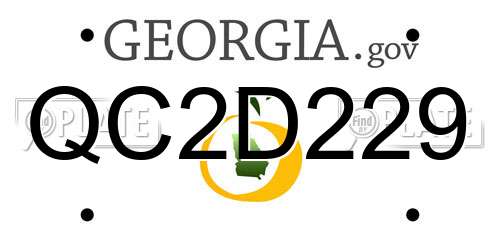 QC2D229 Georgia License Plate
