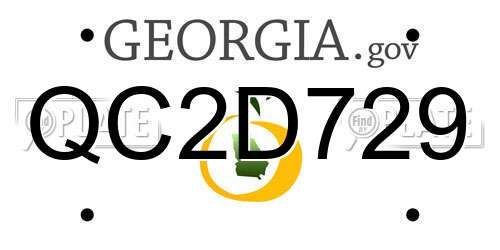 QC2D729 Georgia License Plate