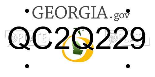 QC2Q229 Georgia License Plate