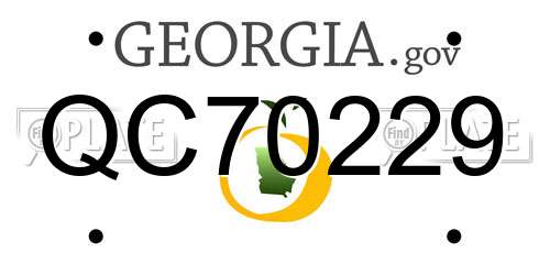 QC70229 Georgia License Plate